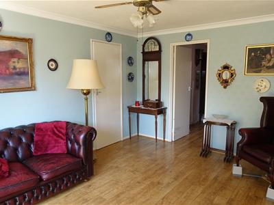 Picture 7